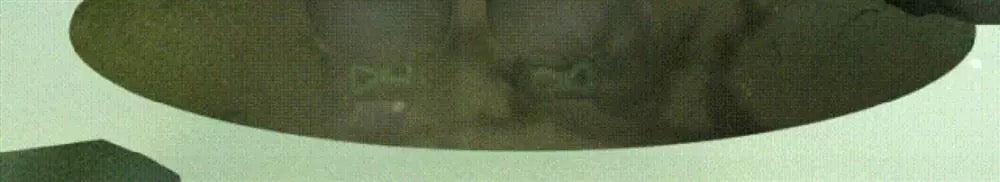 21fbf46b-e2c3-4d97-b6f0-e810035c3898