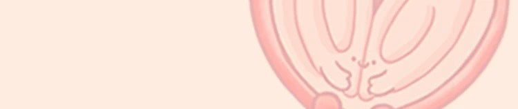 8aa8dcd0-6613-4a65-bc8c-75e6fc2f5daa