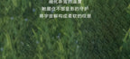 780bb2a3-efb2-4b63-b39e-7d9854e91b71