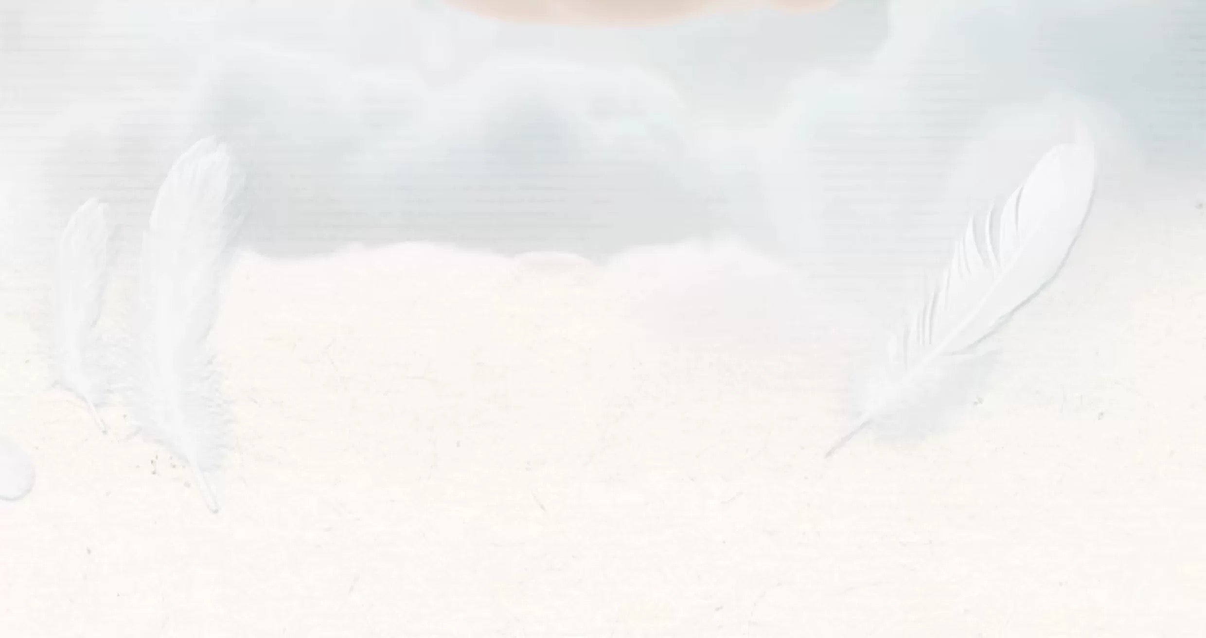 29814c8b-2799-41fb-97e3-84e6342fe3f6