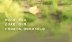 5ce66ce3-2e68-435a-8ceb-7f4deb2e90e9