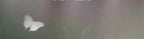 2eb15764-dd73-442a-b646-aeacd45d2363