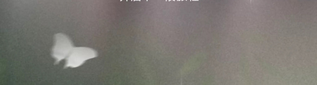 6e199f41-6f8c-4d9e-a4f9-aa3550e8feee