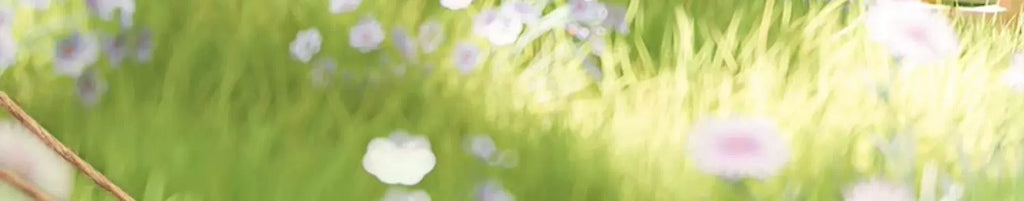 734c11b6-4e12-470c-a24e-997ae4a1d81b