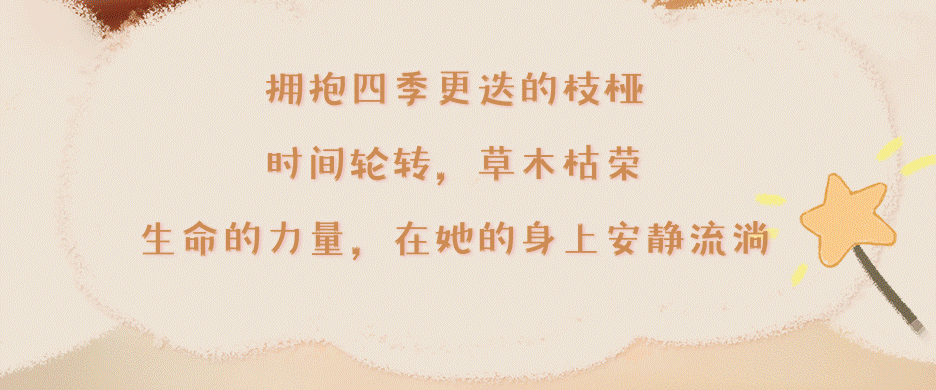 e0e1f904-5e95-4005-bbdb-e7a27e0def11