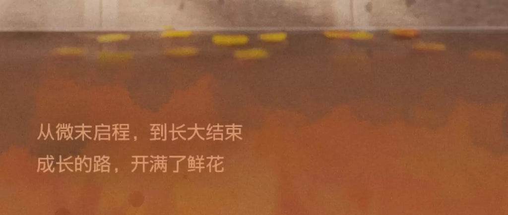 4fa0c755-0b8f-4c8d-be68-3c9755dcccdf